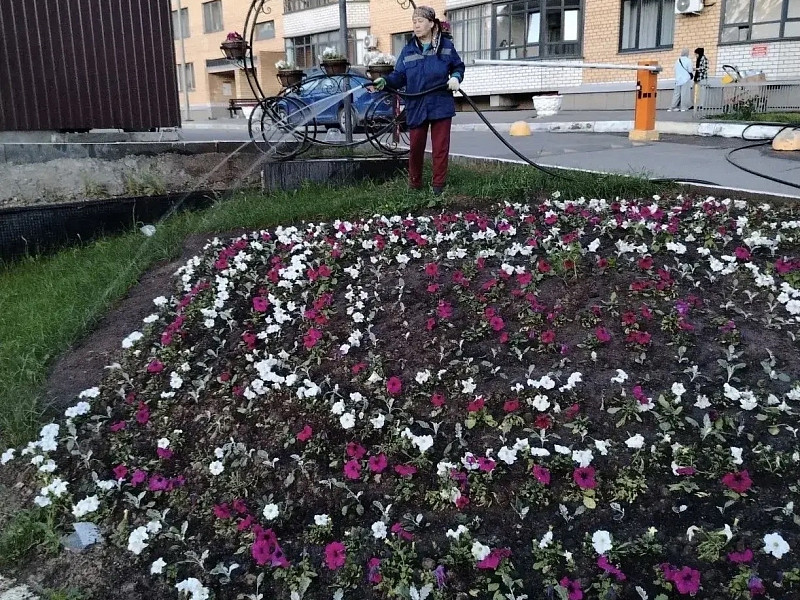 Красота на всех адресах! Берегите её, пожалуйста